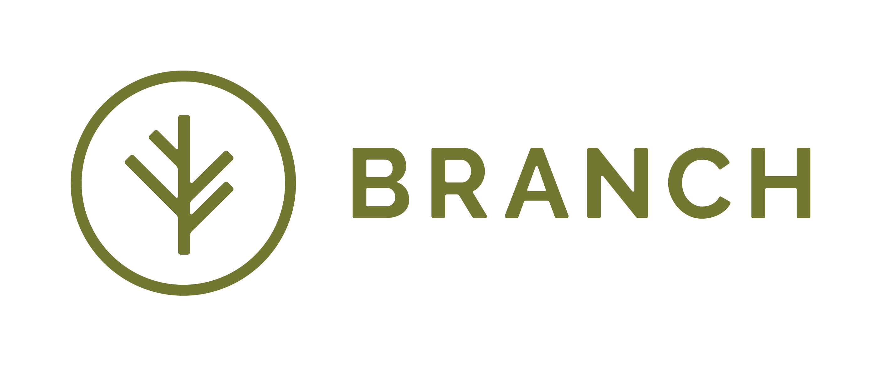 Branch Financial Inc.